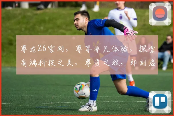 尊龙Z6官网，尊享非凡体验，探索高端科技之美，尊贵之旅，即刻启程