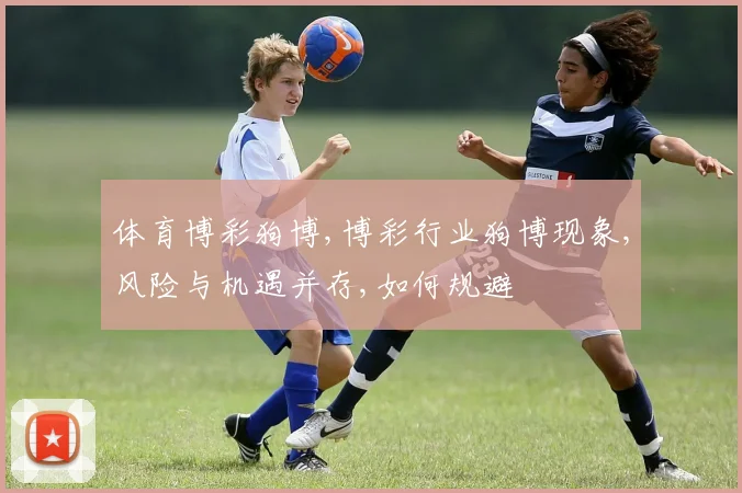 体育博彩狗博,博彩行业狗博现象,风险与机遇并存,如何规避