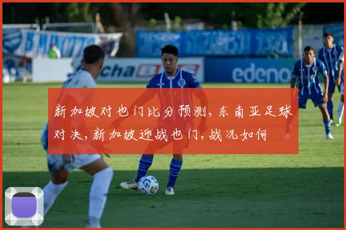 新加坡对也门比分预测,东南亚足球对决,新加坡迎战也门,战况如何